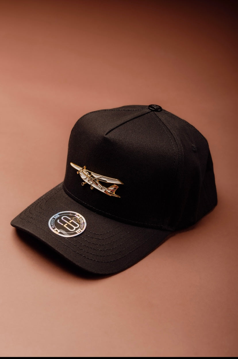 AVIONETA Y PILOTO